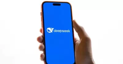 DeepSeek