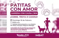 Gobierno de Tecate invita a la carrera con causa "Patitas con Amor"