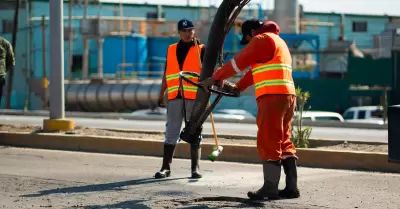 Programa de bacheo