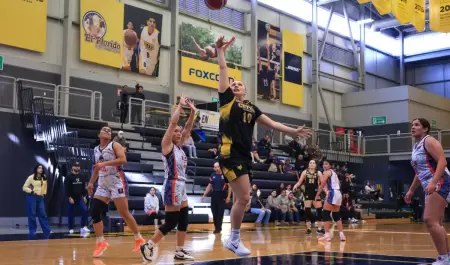 Recibe Zorros Femenil a Tigres UANL en el bsquetbol de Liga ABE