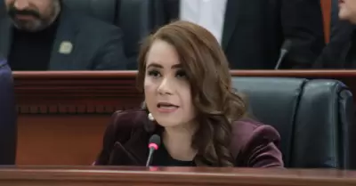 Diputada Alejandra Ang Hernndez