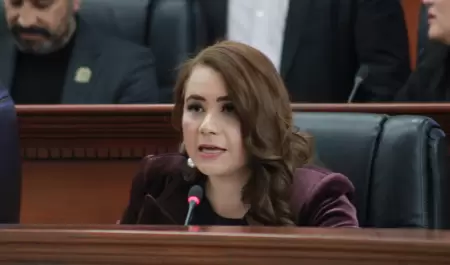 Diputada Alejandra Ang Hernndez