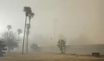 Neblina y bajas temperaturas