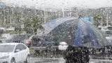 Pronstico de lluvias