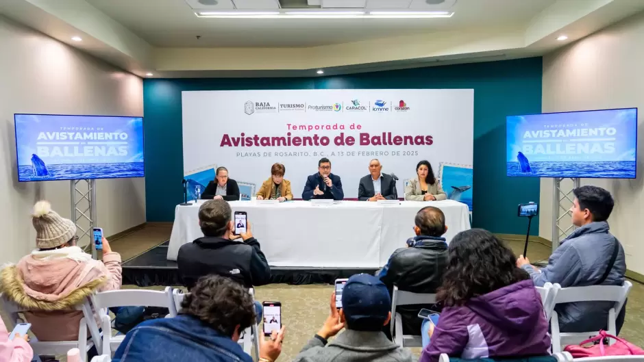 Turismo invita a disfrutar del avistamiento responsable de ballena gris en Ensenada