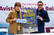 Turismo invita a disfrutar del avistamiento responsable de ballena gris en Ensenada