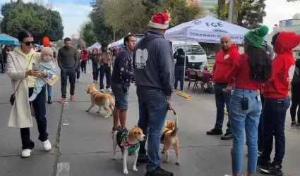 Feria de Bienestar Animal