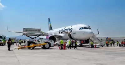 Avin volaris