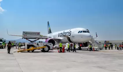 Avin volaris