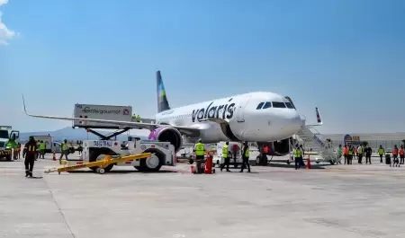 Avin volaris