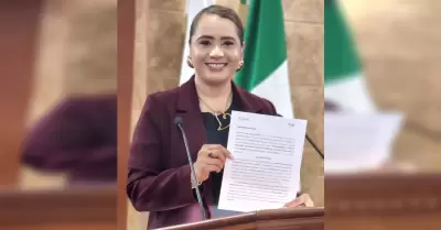 Diputada Alejandra Ang