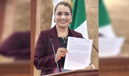 Diputada Alejandra Ang