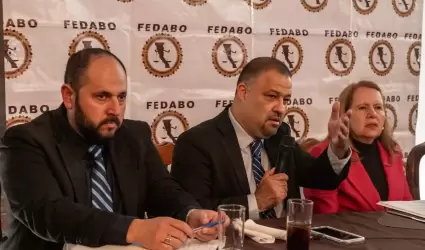 Federacin Estatal de Barras, Colegios y Asociaciones de Abogados