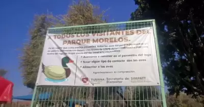 Zona de patos