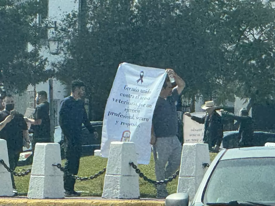 Manifestacin de Mdicos Veterinarios