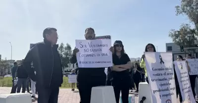 Manifestacin de Mdicos Veterinarios