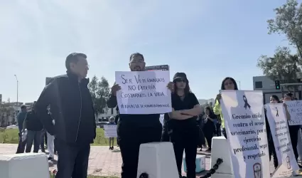 Manifestacin de Mdicos Veterinarios