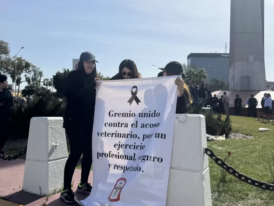 Manifestacin de Mdicos Veterinarios