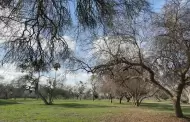 Inician construccin del Parque Comunitario de Bonsall