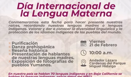 Da Internacional de la Lengua Materna