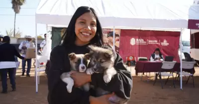 Jornada Nacional contra la Rickettsiosis