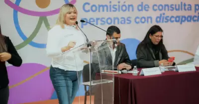 Consulta Estatal para Personas con Discapacidad este 28 de febrero