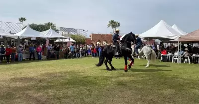 Festival Gastronmico del Valle de Mexicali