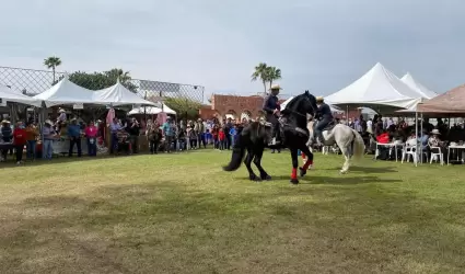 Festival Gastronmico del Valle de Mexicali