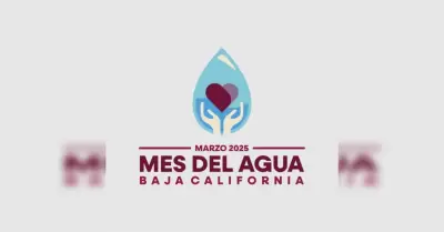 Mes del agua