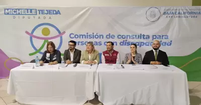 Consulta Estatal sobre derechos polticos-electorales de personas con discapacid