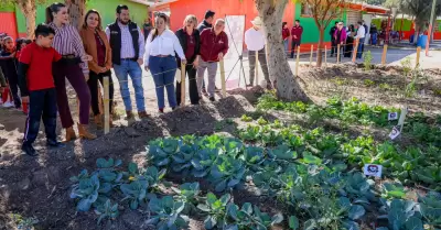 Huertos Escolares y Comunitarios