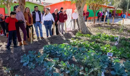 Huertos Escolares y Comunitarios