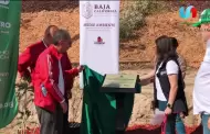 Parque Esperanto alberga el jardn de plantas nativas ms grande de Baja California