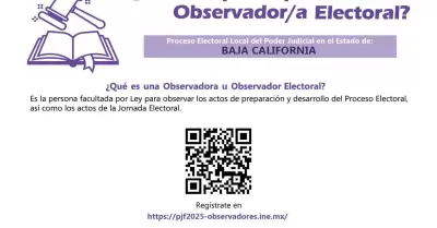 Convocatoria para participar en el PELE 2025 como observador u observadora elect