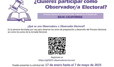 Convocatoria para participar en el PELE 2025 como observador u observadora elect