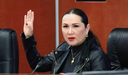 Diputada Araceli Geraldo Nez