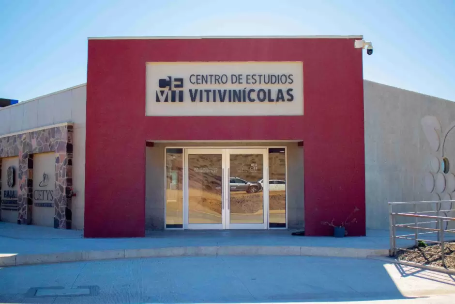 Sector vitivincola en Mxico