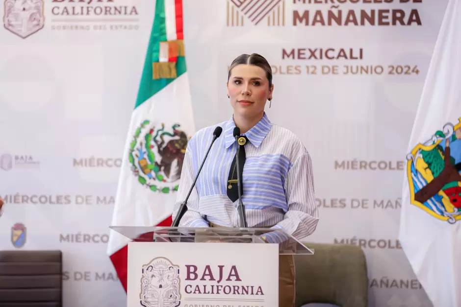 Verificacin de establecimientos mdicos y estticos