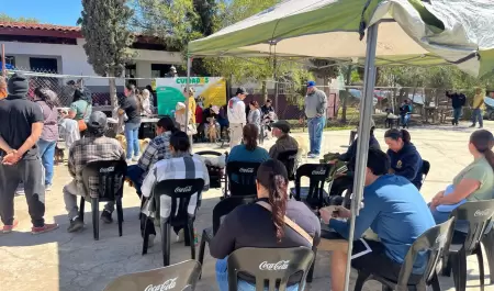 Jornada de vacunacin de mascotas