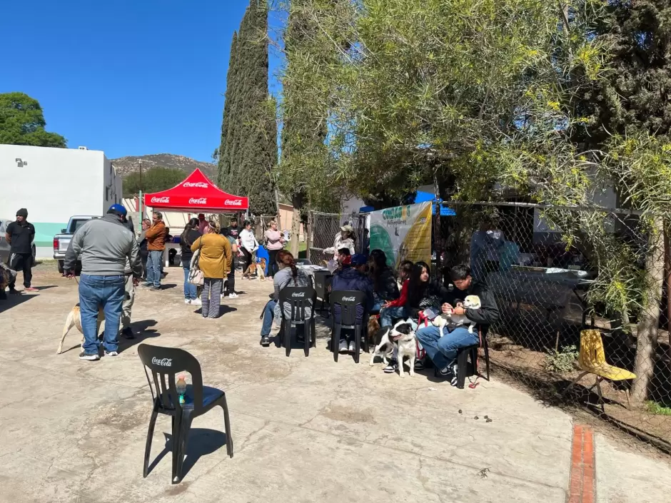 Jornada de vacunacin de mascotas