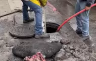 Lamenta Cespt y ciudadana que se siga tirando basura que tapa alcantarillas y pluviales; continan labores de desazolve