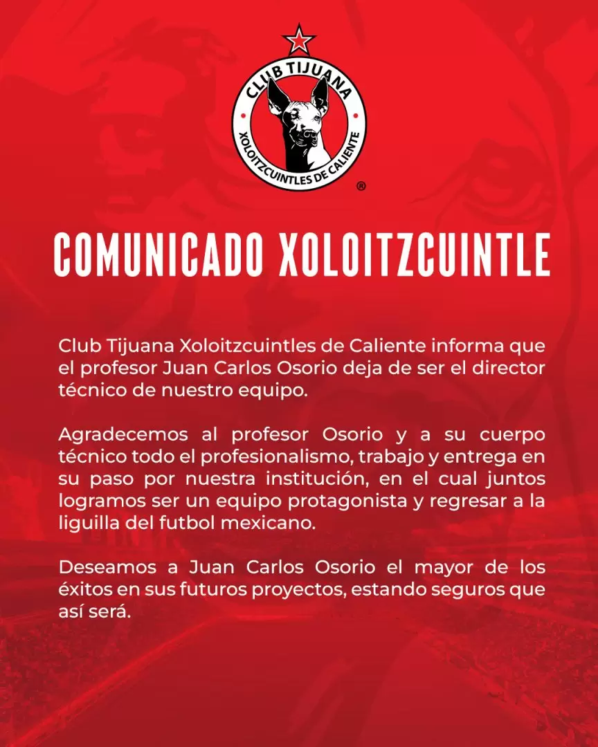 Comunicado Xoloitzcuintle