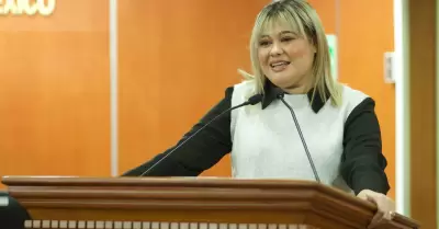 Diputada Michelle Tejeda