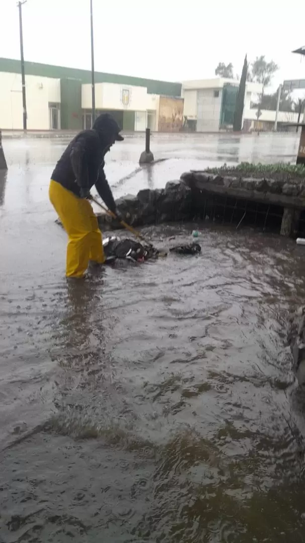 Lluvias