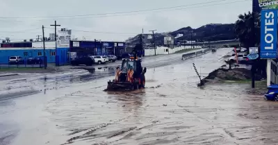 Limpian accesos en delegacin Primo Tapia tras lluvias