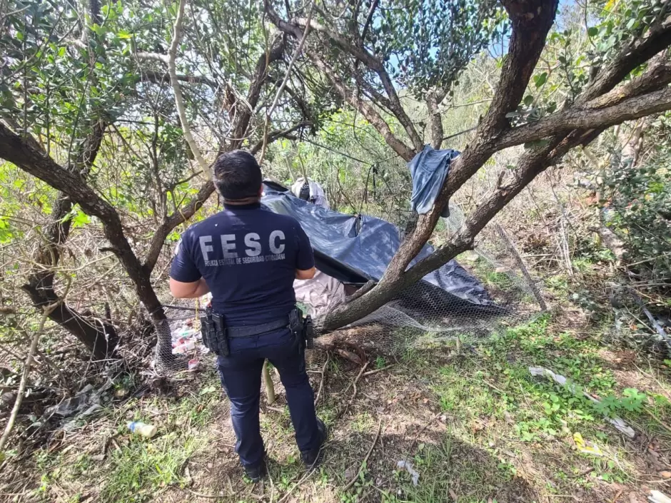 Localizan y destruyen planto de marihuana en Tijuana