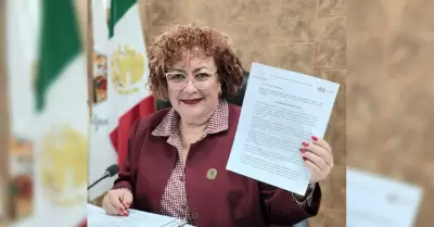 Diputada Mara Teresa Mndez Vlez