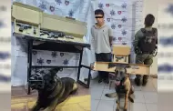 Captura Polica Municipal con apoyo de K-9 a presunto responsable de robo de una motocicleta