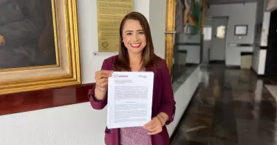 Diputada Alejandra Ang