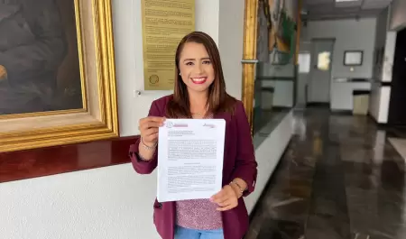 Diputada Alejandra Ang